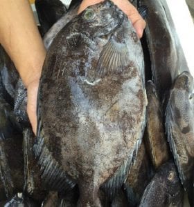 Chợ Đầu Mối Hòa Cường Đà Nẵng