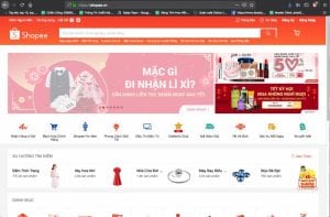 Website Việt TP.HCM
