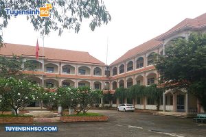 Trường Cao đẳng Việt Nam Bình Dương