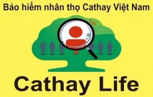 Công Ty TNHH Bảo Hiểm Phi Nhân Thọ Cathay TP.HCM