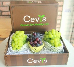 Công ty xuất nhập khẩu trái cây Cevis TP.HCM